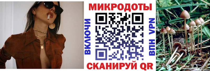Псилоцибиновые грибы GOLDEN TEACHER Западная Двина